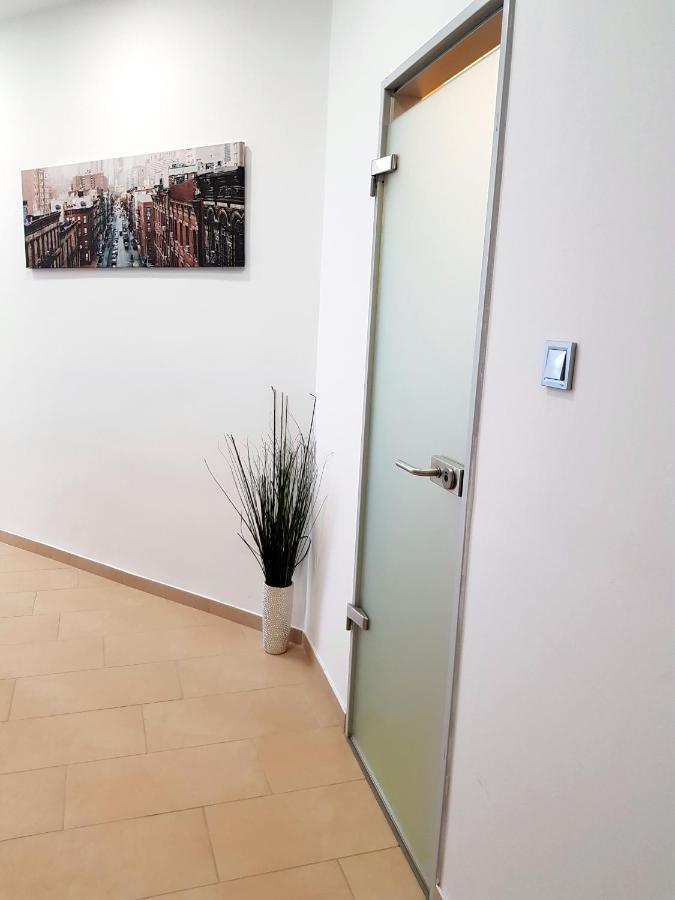 Luxurious Apartment With Balconies In Downtown Bp 布达佩斯 外观 照片